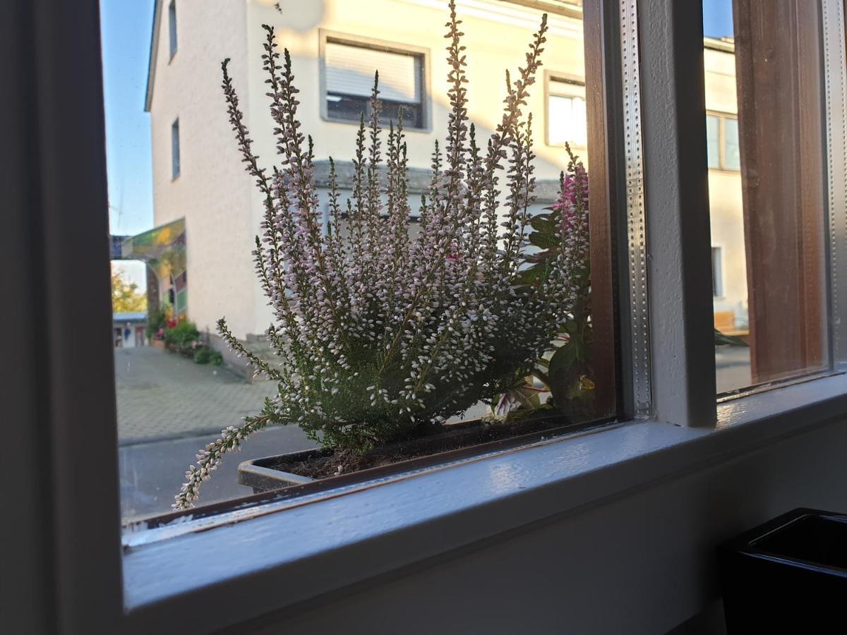 Duex-Hof Apartment Fachwerkhaus 博恩海姆 外观 照片